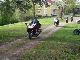 Kopia av inge