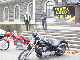 DSCN2246