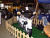 DSCN2100.JPG