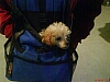 DSC00066.JPG